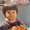 경기 수원 : 어푸어푸 망포 수원 아기랑 실내 수족관 동물원