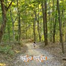 띵까띵까 이미지