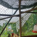 금종농장 이미지