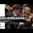 Rimsky-Korsakov Capriccio Espagnol op.34 Vasily Petrenko 이미지