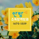 안방안심방역방제