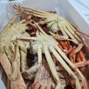 영덕대게 이미지