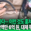 "하다하다··· 이런 것도 훔쳐가요" 피해 금액만 6억 원, 대체 뭐길래? [G1자막뉴스] 이미지