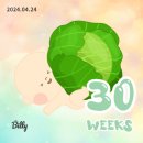 마더힐링약국 | 용띠맘 임신기록(30~35주차)주차별 꼭 해야할일 및 임신증상 총정리 3편