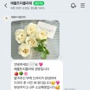 애플트리 | 남양주부케말리기 애플트리플라워 부케말리기 공방 내돈내산 후기