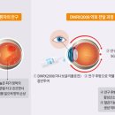 대웅 이미지