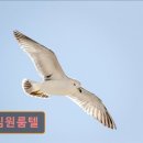 충렬대로350번길 이미지