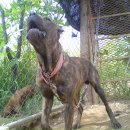 부광주유소 이미지