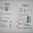 백두산한의원 이미지