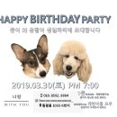 Happy 애견샵 이미지