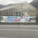 백양숯불고기 이미지