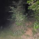 남평버스정류장 이미지