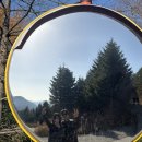 제일사슴농장 이미지