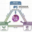 태양약국 네이버블로그