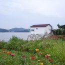 푸릇푸릇펜션 이미지