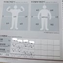 기장한의원 | 부산 기장 이산한의원 후기 2탄 (다이어트 + 허리통증 + 턱관절 치료 솔직후기)