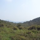 민 목장 이미지