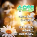밥짓는행복 이미지