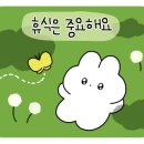 온다2417 이미지