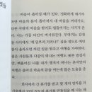폭싹속았수다🍊