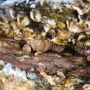 태안스테이션 이미지