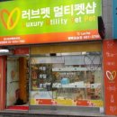 하나애견샵 이미지