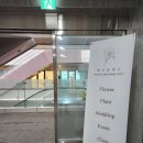 땅트플레르 이미지