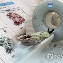 푸어푸어
