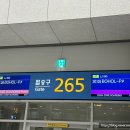 승일건기 | 보홀 직항 항공권 가격 진에어 체크인 탑승 후기