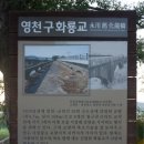 영천 구 화룡교 이미지