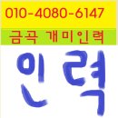 장현인력 이미지