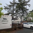 비토섬 신우리조트(주) | 비토섬 신우리조트 오션카라반 대형 후기