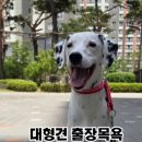 멍뽀득 이미지