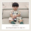 재용농장 | 톤28 해남404 펩타시카 세럼 후기(19개월 아기 키우는 집)육아맘 세럼,앰플 피부관리,홈케어