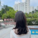 라벨레자