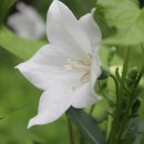 오늘하루 이미지