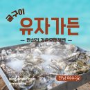유자가든 | 여수 굴 맛집 굴 구이 전문 유자가든 후기