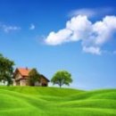 푸른잔디 이미지