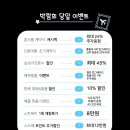 케이이엔티 이미지