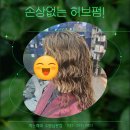 허브지노 이미지