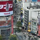 도쿄 시부야스카이 예약꿀팁 방문후기 | 야경 전망대 포토존 추천