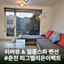 춘천 애견동반펜션 남이섬 피그멜리온이펙트 202호 (리버뷰,스파)