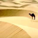 충청도왕족 이미지