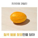 민석상회 이미지