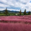 부자돼지 이미지