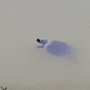 연못이 있는 집 이미지