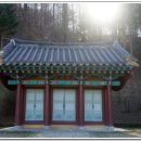 개삼각 이미지