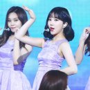 은하 이미지
