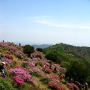 의령-의령-의령-D-3 이미지