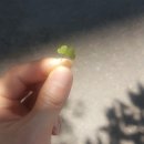 창동탑치과의원 이미지